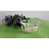 620ml Round Transparent High Borosilicate Glass Storage Container