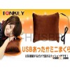 USB Heating Pillow