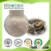 Oyster Powder