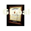 Jameson Ale Mirror DY-BM21
