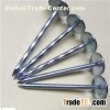 Galvanized Roofing Nails With Umbrella Head