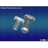 Railway T bolts