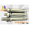 Grade 4.8 Fastener YZP Steel Expansion Bolts