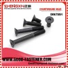 High quality screw bolt din7991 handan zhengxin  fastener