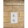 Customized 1 Way Thermostatic Cross Handle Shower Valve / Bathroom Faucet