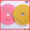 Polishing Pads