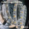 Warm White And Pure White Double CCT/dual Color 5050 LED Strips