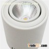 COB Downlight