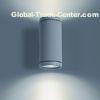 6Watt Exterior Wall Sconce Lighting for Passage Way 700mA Edison LED CE