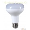 LED Lamp R39/3W R50/5W R63/8W R80/10W LED Light LED Bulb