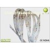 10m 2700 - 3000K, 3100K - 3500K 3528 waterproof Flexible Led Strip Lights