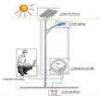DC12V/24V Solar street light