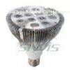 SCR dimmable driver Par LED Spotlight indoor 12 Watt 110 Volt