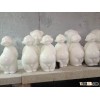 3D Engraving Machine for Stone