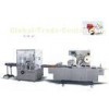Horizontal Fully Automatic Cartoning Machine For Medicine / Food 15-30 packs/min