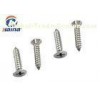 Stainless Steel Sharp point Cross Recessed Head St 4.8*100MM Self Tapping Metal Screws