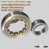 SKF NU2313,NU2313 Cylindrical Roller Bearing