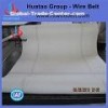 Polyester Corrugated paper belt