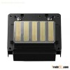 Epson PRO 11880C Printhead- F179000 / F179010