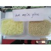 hot melt adhesive