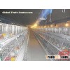 A Frame Semi Automatic Pullet Chicken Cage