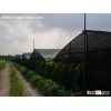 Windbreak plastic Net