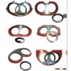 Spray Paint Spectacle Wear Plate