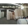 Customized Printing White PE Coated Printed Paper Roll for Making Paper Cups