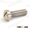 Titanium Pan Head Slotted Screws