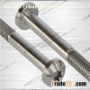 Titanium Pan Head Torx Screw