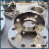 GR1 Titanium Threaded Flanges
