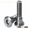 Titanium Fastener