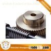 Worm Transmission Gear
