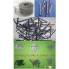Galvanized Wire Nails