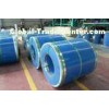 Prime Grade  Prepainted galvanised color coated steel coil RAL color or custom