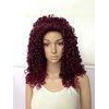 Kinky Curly Long Synthetic Wigs Natural Hair Line Mixed Color