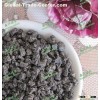 high carbon low sulphur gpc