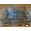 Crab Trap