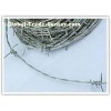Hebei Anping supply Barbed wire