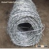 Galvanized Barbed Wire