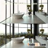 Privacy Glass Window
