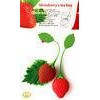 Food Grade Silicone Floating Strawberry Tea Infuser Red / Yellow