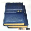 Diaries