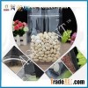 Ziplock Vacuum Bag With Valve
