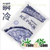 The Condensed Cooler Ice Bag