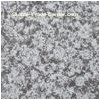 Coated on the Surface and Imitated Material of Building