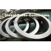 GB DIN Stainless Steel Forged Steel Rings / Bearing Outer Ring For Auto Parts , PT Test