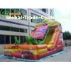 Giant Commercial Inflatable Slide for Amusement Park With Full Digital Printing For Kids