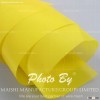 Bolting cloth for garment printing