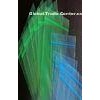 Green small resealable Zip Lock Plastic Bags customized clear poly bag